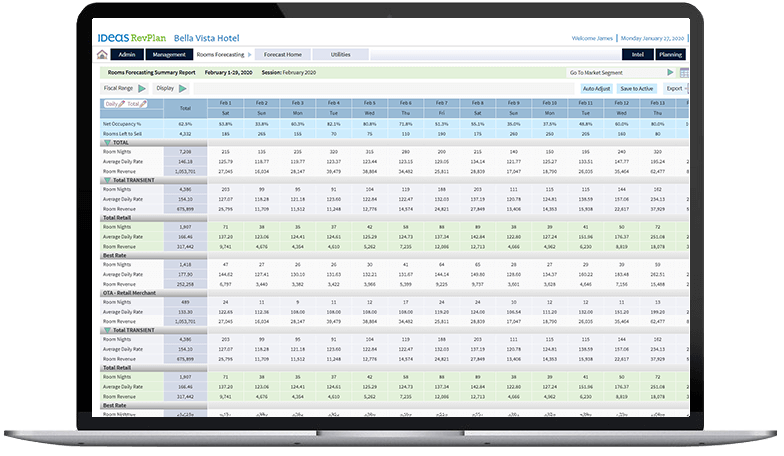 computer screen of a spreadsheet in a hotel revenue management system